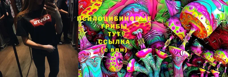 OMG ссылка  Дедовск  Псилоцибиновые грибы MAGIC MUSHROOMS  купить наркоту 